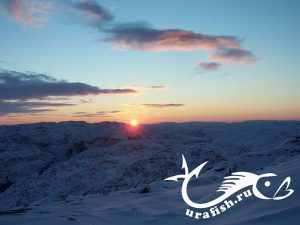 скупое северное солнце зимой http://urafish.ru