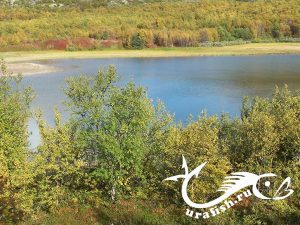 Природа Кольского полуострова у Ура-Губы — морская рыбалка в Ура-Губе, фото 37