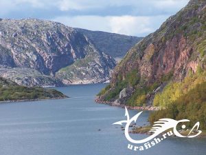 Природа Кольского полуострова у Ура-Губы — морская рыбалка в Ура-Губе, фото 95