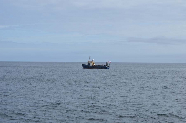 ship2-03